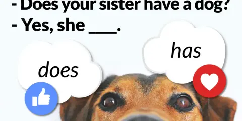 Piesek uczy angielskiego: "Does your sister have a dog?" - "Yes, she has.