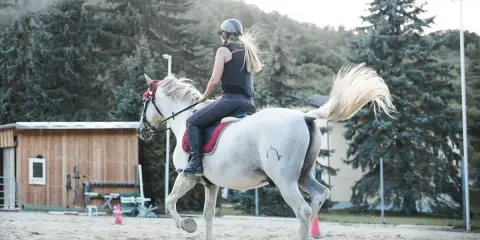 Reiterin auf weißem Pferd im Trab, um die Halsmuskulatur des Pferdes zu lockern.