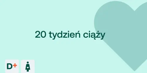 20 tydzień ciąży. Serce i ikony D+ oraz kobiety w ciąży na jasnym tle.