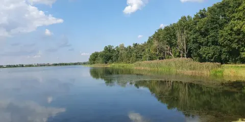 Spokojny zalew bolimowski odbija błękitne niebo z chmurami. Bujna zieleń drzew i trzcin tworzy malowniczy krajobraz.