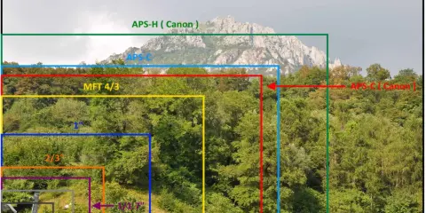 Confronto visivo di dimensioni sensore: dal più piccolo 1/1.7" al più grande APS-H (Canon), con il sensore full frame come riferimento implicito per la massima copertura.