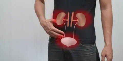 Mężczyzna odczuwa ból w podbrzuszu, wskazujący na zapalenie cewki moczowej. Czerwone obwódki podkreślają obszar nerek i pęcherza.