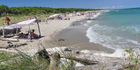 Gente rilassata sotto un telo ombreggiante sulla spiaggia della Bassona, con il mare azzurro e la pineta sullo sfondo.