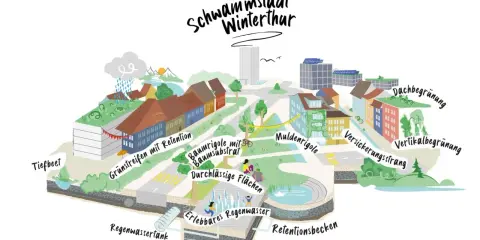 Winterthur als Schwammstadt: Gründächer, Baumrigolen, Mulden und Retentionsbecken speichern Regenwasser.