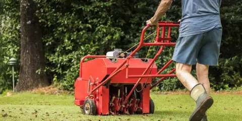 Man pushing a red core aeration machine across a green lawn, leaving plugs of soil behind.
