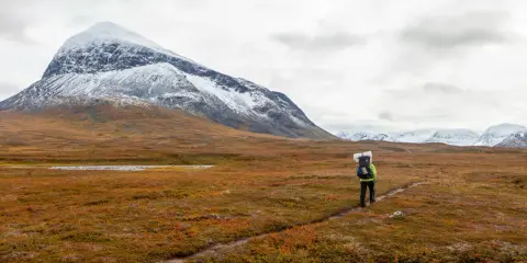 Vandrare på Kungsleden i Sarek med snöklädda berg i bakgrunden och höstens färger i förgrunden.
