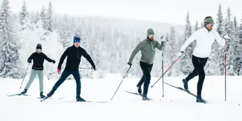 Fyra personer åker **långlopp skidor** i ett snöigt landskap med skog i bakgrunden.