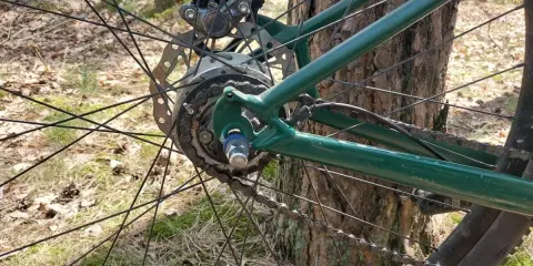 Tylna piasta rowerowa z przerzutką planetarną i hamulcem tarczowym na tle lasu.
