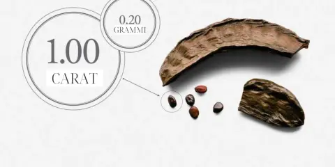Il carrubo, da cui deriva il carato, mostra quanto è grande un carato: 1.00 carato equivale a 0.20 grammi.