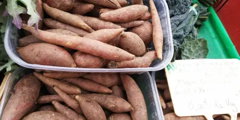 Poires de terre douces, parfaites pour une recette de purée ou de frites. Ces patates douces sont prêtes à être cuisinées.