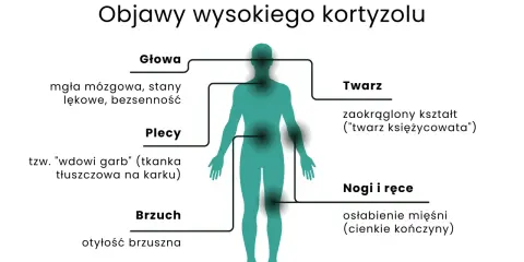 Wysoki kortyzol objawia się mgłą mózgową, lękami, bezsennością, "twarzą księżycowatą", garbkiem tłuszczowym na karku, otyłością brzuszną i osłabieniem mięśni.