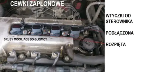 Cewki zapłonowe w samochodzie, przykręcone do głowicy. Widać wtyczki od sterownika, podłączone i rozpięte.