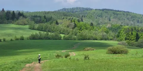 Samotny turysta na szlaku, zastanawiający się, ile dni zajmie mu przejście Głównego Szlaku Beskidzkiego.