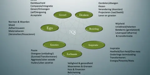 Diagram met 7Qi centra: Ego, Gevoel, Denken, Bezieling, Inspiratie, Lichaam, Emoties. Wat is kwaliteit? Het omvat liefde, wijsheid, passie, en meer.