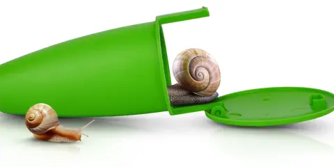 Dwa ślimaki, jeden ucieka, drugi siedzi w zielonym pojemniku. Skuteczne wapno na ślimaki.