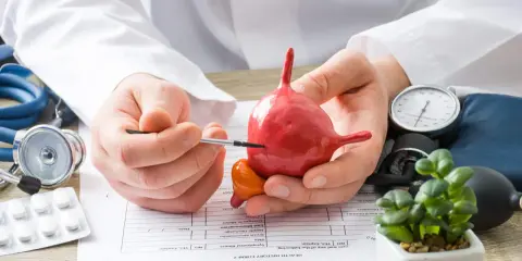 Lekarz omawia model pęcherza, sugerując pęcherz nadreaktywny po infekcji. Obok stetoskop, ciśnieniomierz i leki.