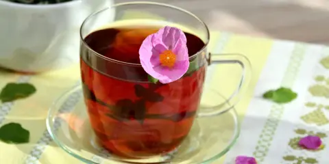 Ein Glas Cistus Tee mit einer rosa Blüte. Die Cistus Tee Wirkung ist bekannt für ihre entzündungshemmenden Eigenschaften.