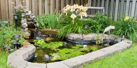 Un estanque en el jardín con cascada, lirios y decoración de grulla. Ideal para aprender como hacer un estanque en el jardin.