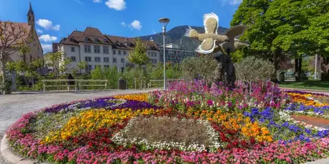 Un tripudio di fiori colorati in un parco di Merano, ideale per scoprire cosa vedere a Merano in un giorno.