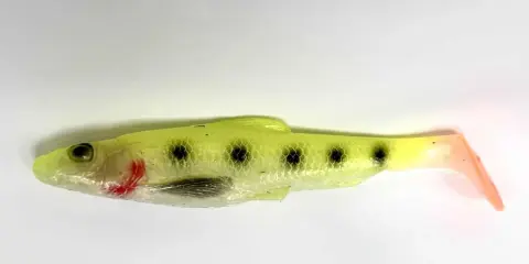 Fluorescencyjne pieczywo na ryby, imitujące ukleję, z czarnymi kropkami i pomarańczowym ogonkiem.