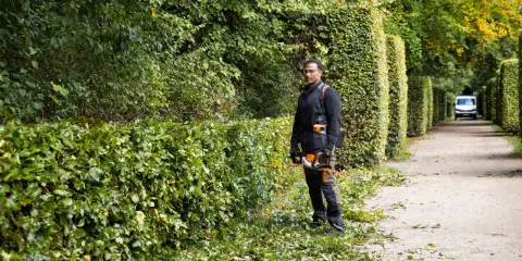 Hombre podando setos, mostrando diferentes tipos de setos a lo largo de un camino.