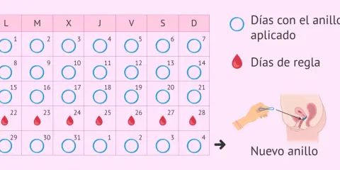 Calendario muestra días con anillo y días de regla. Se puede retirar la regla tomando anticonceptivos.