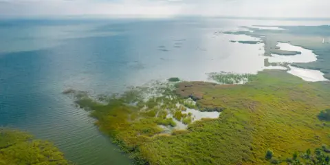 Rozległa, zielona mierzeja wiślana z wodą i trzcinami pod błękitnym niebem.