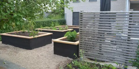 Snygga svarta odlingslådor med träkant ger inspiration för en modern trädgård. Planteringar med grönska och en träskärm.