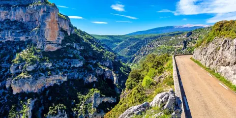 Vue panoramique des gorges de la Nesque, une route sinueuse longeant des falaises abruptes et une végétation luxuriante. Parfait pour une randonnée mémorable.