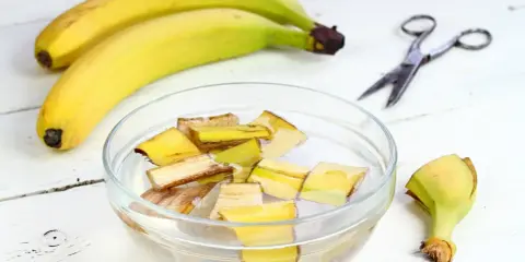 Kawałki skórek bananów w wodzie, przygotowywane jako nawóz z banana. Obok leżą banany i nożyczki.