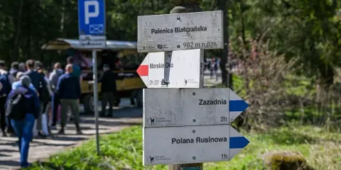 Rozdroże szlaków w górach. Co oznacza żółty szlak w górach? Tutaj widzimy drogowskazy na Palenicę Białczańską, Morskie Oko, Zazadnią i Polanę Rusinową.