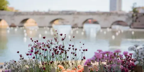 Fiori colorati in primo piano, con un ponte ad archi e un edificio sullo sfondo, ricordano una **piazza sull'acqua Rimini** in un giorno di sole.