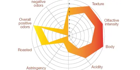 Radar-Diagramm zeigt verschiedene Espresso-Arten mit Bewertungen für Textur, Körper, Säure, Bitterkeit, Adstringenz, Röstung, Geruch und Intensität.
