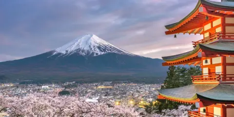 Wiosna w Japonii: kwitnące wiśnie, pagoda i ośnieżony Fudżi. Ciekawe ciekawostki o Japonii czekają!