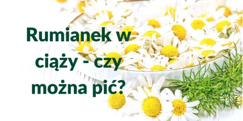 Rumianek w ciąży - czy można pić? Wiele kobiet zastanawia się nad tym, pijąc ten delikatny napar.