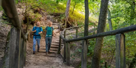 Glückliche Wanderer steigen eine Holztreppe im Wiehengebirge hinauf. Die Sonne scheint durch die Bäume und beleuchtet den Waldweg.