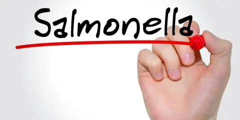 Objawy salmonelli u dziecka: Kiedy alarm? Poradnik dla rodziców