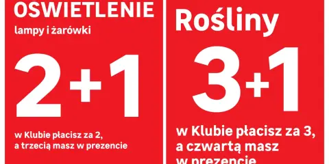 Leroy Merlin: Jak sprawdzić daty promocji? Oszczędzaj sprytnie!