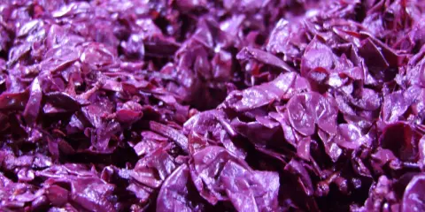 Textura púrpura y brillante del bagazo de uva, restos de la vinificación listos para ser reutilizados.