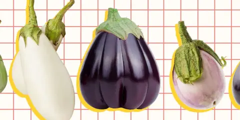 A colorful display of various types of eggplant, from white to deep purple, arranged on a grid background.