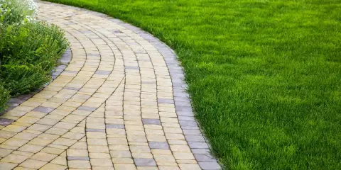 Vialetto ingresso casa curvo, pavimentato con blocchi di pietra chiara e scura, fiancheggiato da prato verde brillante e vegetazione rigogliosa.