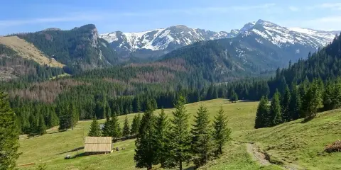 Majestatyczne szczyty w Zakopanem, pokryte śniegiem, otaczają zielone doliny i gęste lasy.