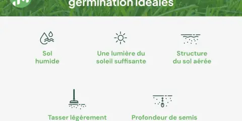 Conditions idéales pour quand planter du gazon : sol humide, soleil, sol aéré, graines tassées à 0,5-1,5 cm.