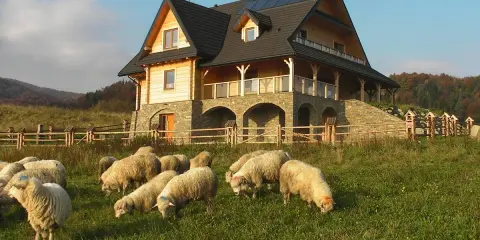 Stado owiec pasące się na łące przed drewnianym domem z kamienną podstawą, w malowniczej okolicy górskiej. Idealne miejsce na wypoczynek w gorcach miejscowościach.