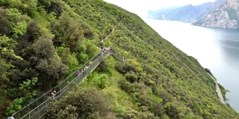 Sentiero panoramico con passerella in Trentino, ideale per passeggiate facili con vista lago.