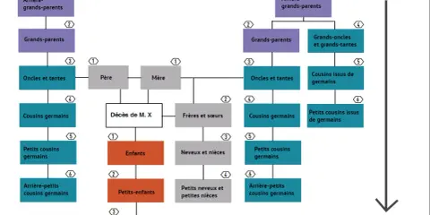 Schéma de dévolution légale : parents, enfants, frères, sœurs, cousins, neveux, etc. pour le service succession.