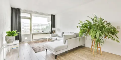 Soggiorno in casa stile nordico con divano grigio, tappeto a righe, piante verdi e grandi finestre.
