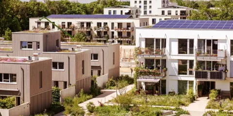 Moderne Gebäude mit Gründächern und Solaranlagen, umgeben von üppiger Vegetation. Ein Beispiel für nachhaltige Quartiersentwicklung.