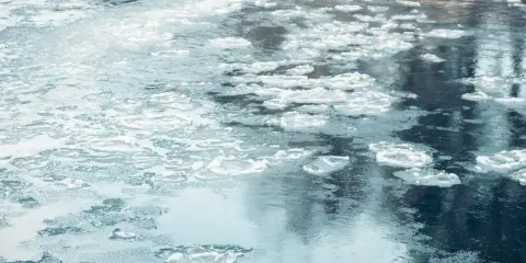 Na wodzie unoszą się kawałki lodu, tworząc śryż. Woda jest ciemna, odbija niebo i drzewa.