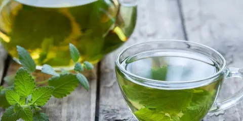 Aromatic melisa w szklanej filiżance i dzbanku, z gałązką świeżej melisy. Czy melisa obniża ciśnienie? Warto spróbować.